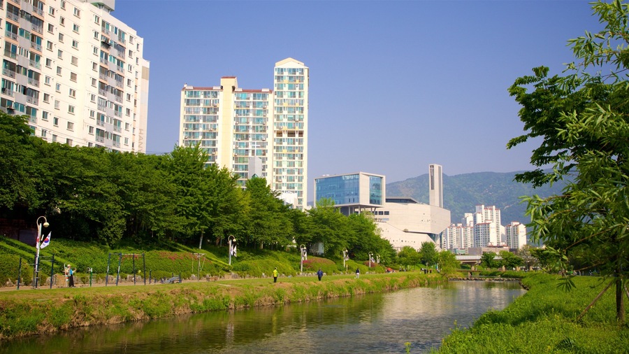 A river with a park and buildings in the background.