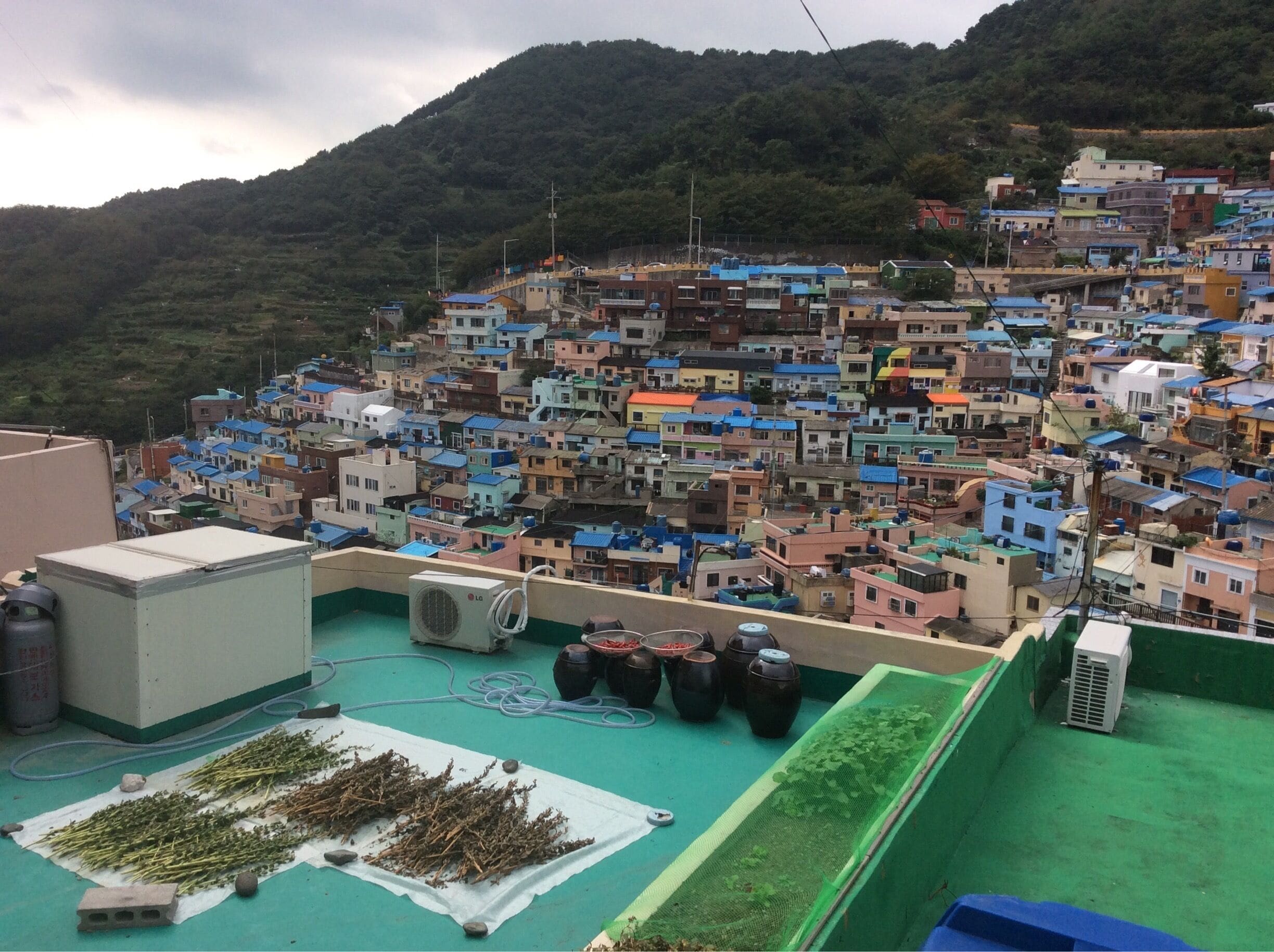 Gamcheon culture village is a top sight for Korean tourists, albeit it might not be to special for anyone who have seen any seaside town in Europe... Still, the place feels authentic and is more a quirky residential area than big money tourist site, which some lovely art. Take some time to breathe here after visiting Jagalchi fish market (one subway stop + 5 min minibus ride away - trust me, unless you are an alpine hiker, do not walk up that hill!).