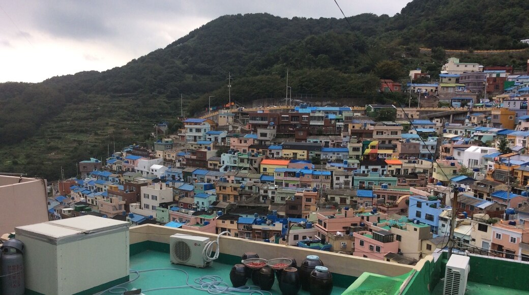 Gamcheon culture village is a top sight for Korean tourists, albeit it might not be to special for anyone who have seen any seaside town in Europe... Still, the place feels authentic and is more a quirky residential area than big money tourist site, which some lovely art. Take some time to breathe here after visiting Jagalchi fish market (one subway stop + 5 min minibus ride away - trust me, unless you are an alpine hiker, do not walk up that hill!).