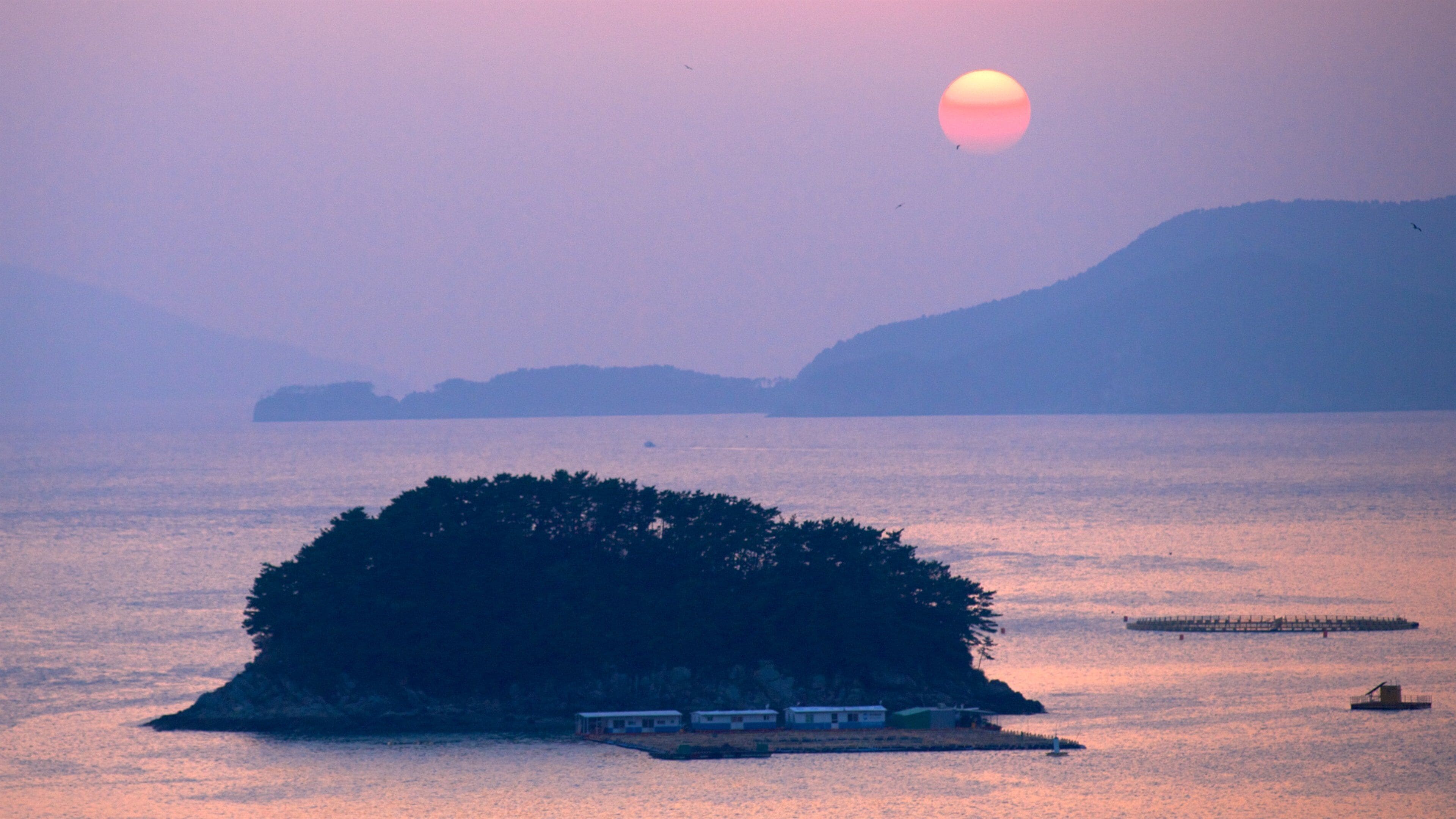 Busan showing a sunset, general coastal views and landscape views