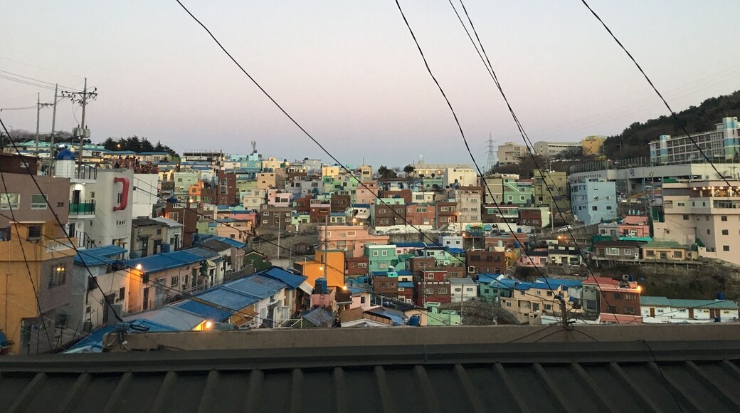 This is gamcheon cultural village in Busan! The village here is pretty and there's murals too! But there's residents living here and you have to be quiet and there's like visiting hours??