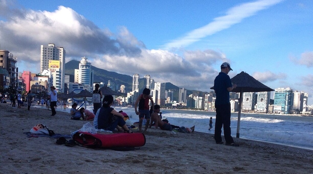 Gwangalli beach, busan. Great in the day and at night, when you can watch the gwangan bridge light show.