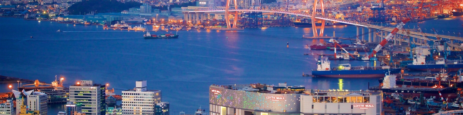 Busan che include paesaggio notturno, ponte e città