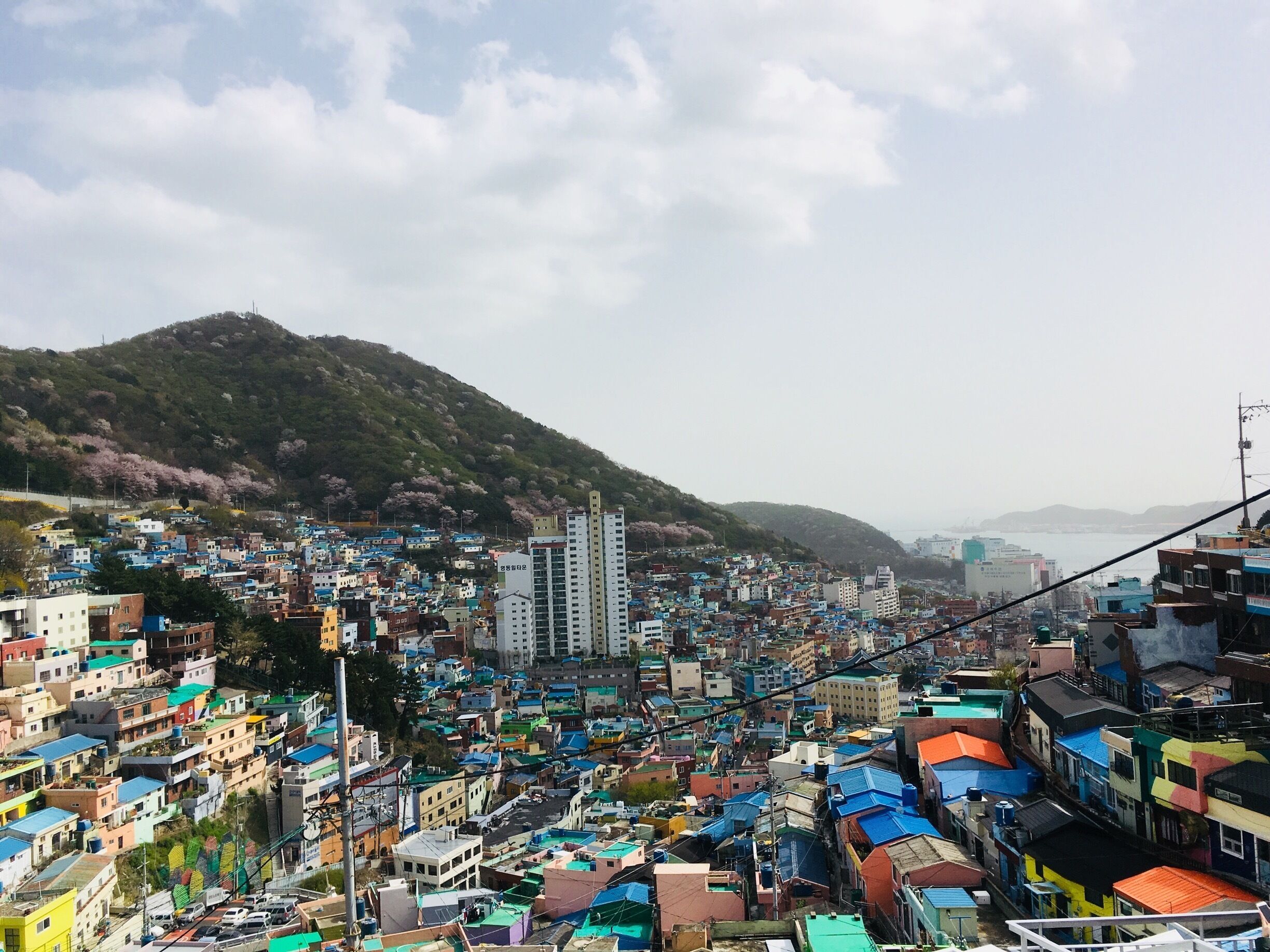 Did I step into the wonderland of rainbow houses ? 🌈
