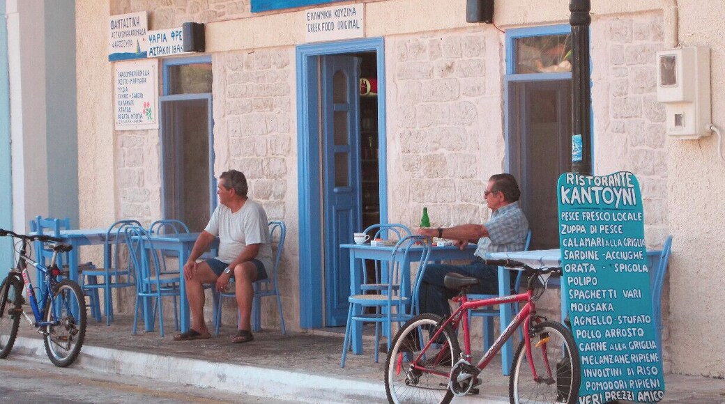 Ithaca Regional Unit