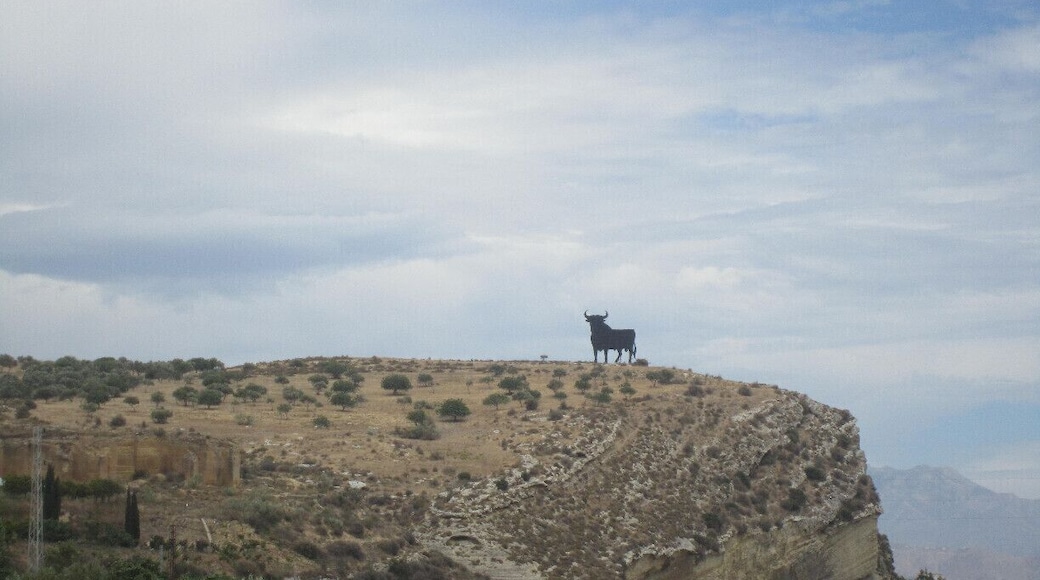 as you enter the town, arriving from Malaga