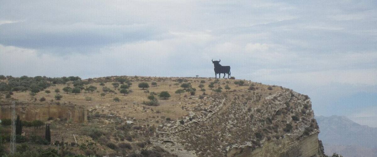 A solitary animal on a rocky hilltop with sparse vegetation and distant mountains.