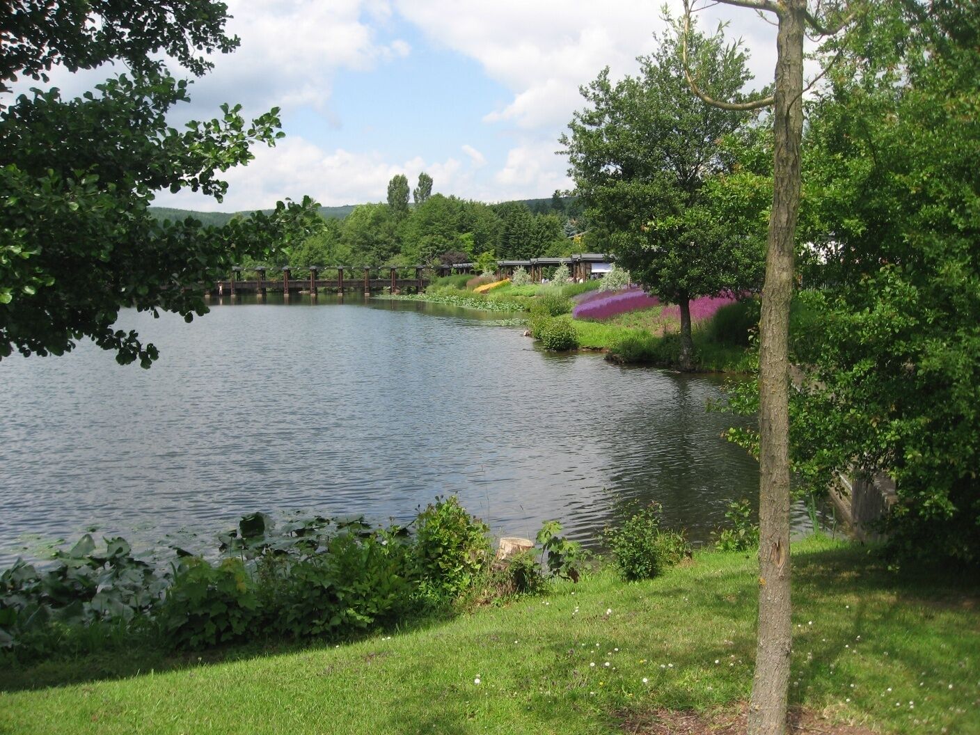 Weiskirchen. Kurparkweiher.