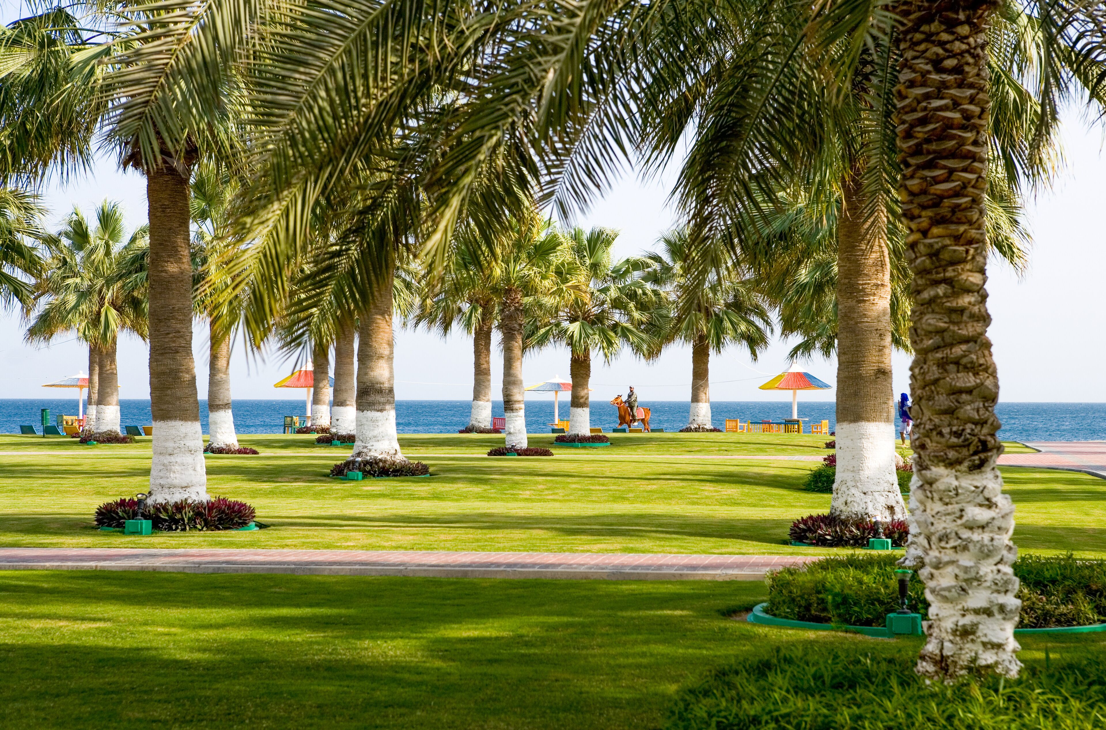 Qatar, Mesaieed, the Sealine Beach touristic center