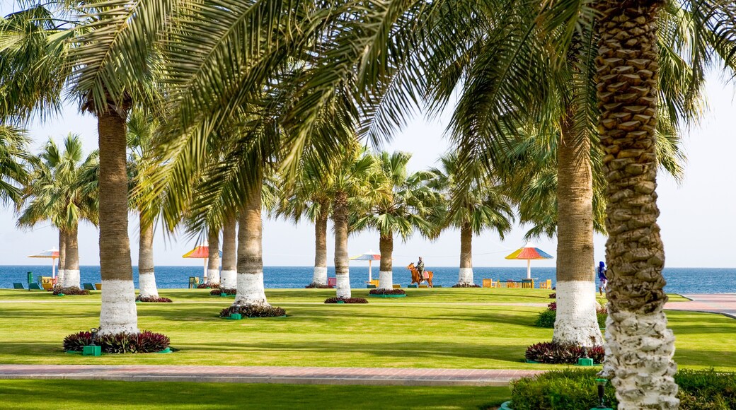 Qatar, Mesaieed, the Sealine Beach touristic center