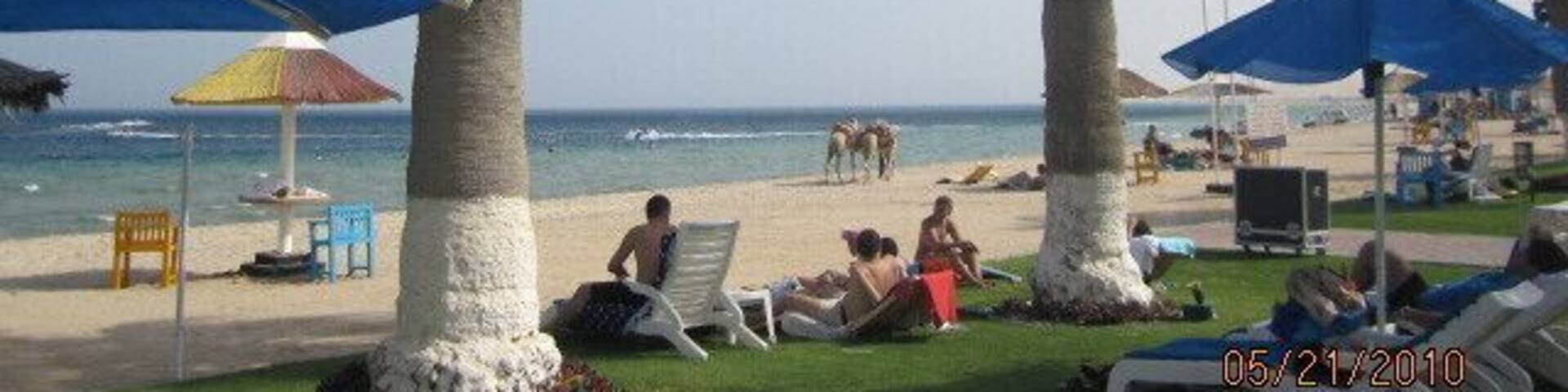 Went every weekend. <3