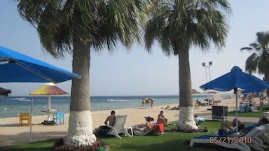 Went every weekend. <3