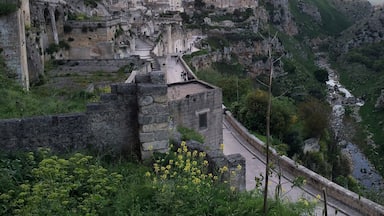 1_1afbcfd5-4f7e-4064-9242-227e15ae93f5_raw