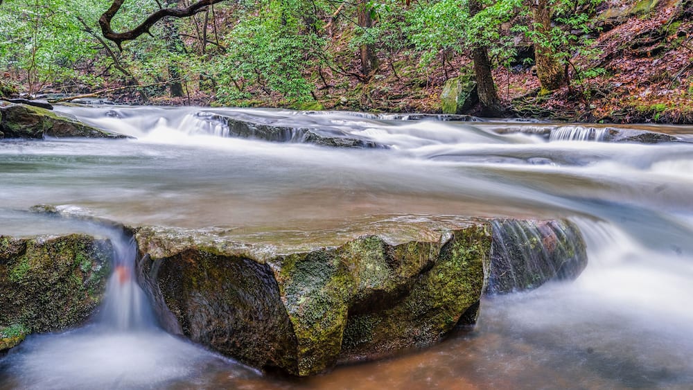 A mountain creek in late autumn. The Fiery Gizzard Trail on the Cumberland Plateau in Tracy City Tennessee USA.