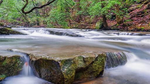 A mountain creek in late autumn. The Fiery Gizzard Trail on the Cumberland Plateau in Tracy City Tennessee USA.