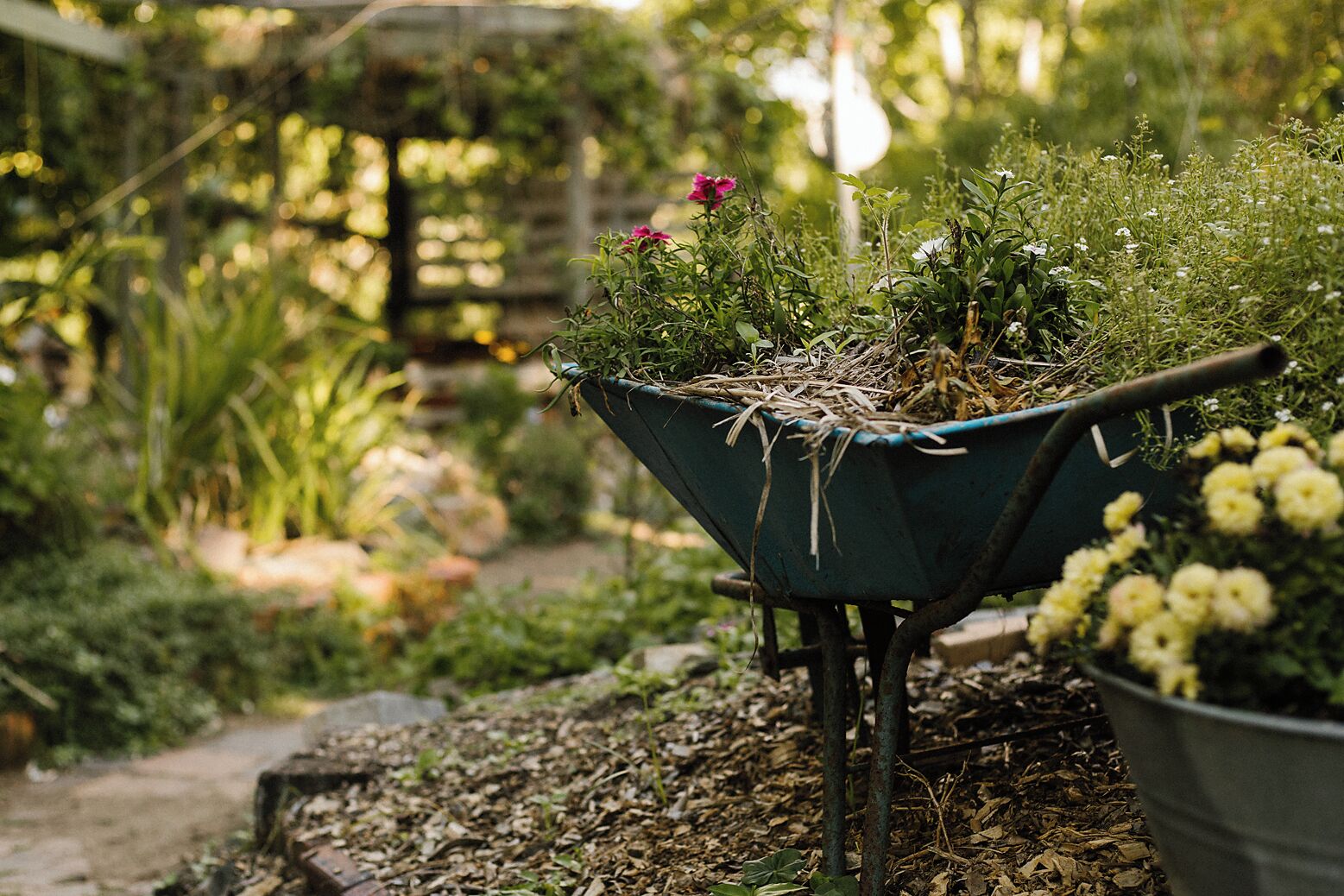 This spot is unique. It is a community garden and is open to the public 24/7. You will find herb gardens, chickens, plants for sale, etc. Very friendly team of staff/volunteers 😍