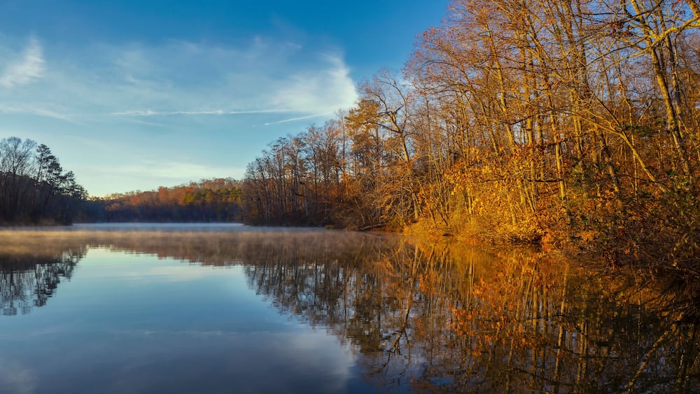 Ein stiller See spiegelt Herbstbäume und einen klaren Himmel wider.