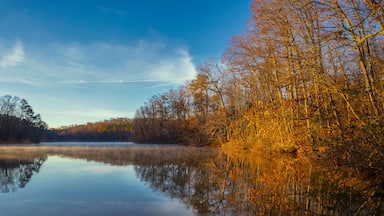 A calm lake reflecting autumn trees and a clear sky.