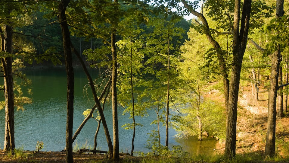 A serene lake surrounded by dense trees.