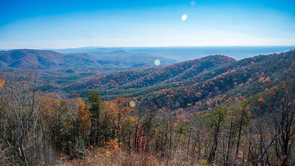 A mountainous landscape with autumn foliage.
