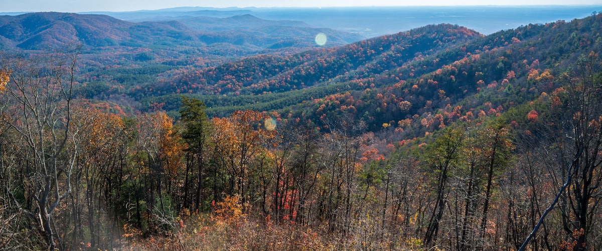 A mountainous landscape with autumn foliage.
