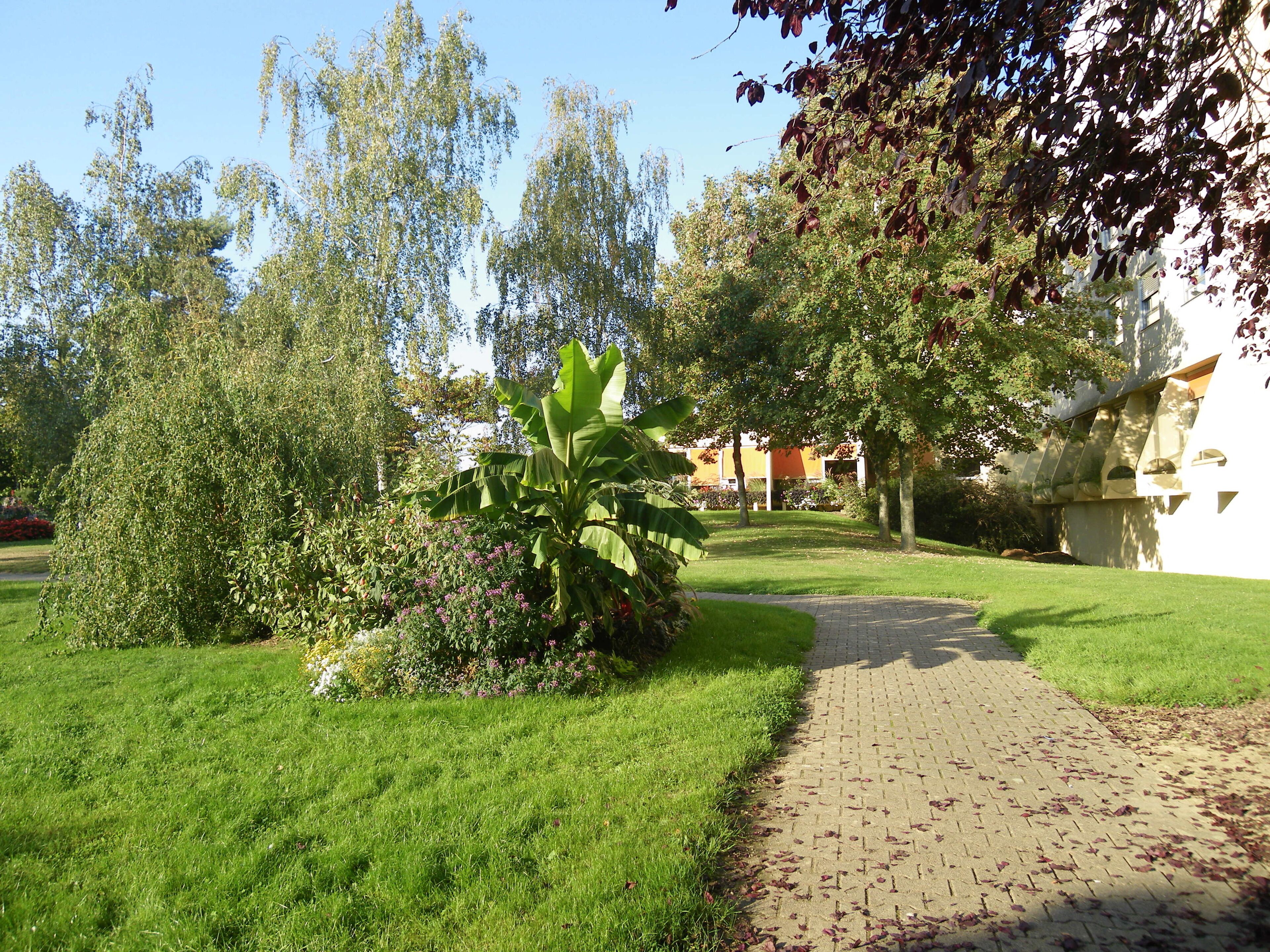 parc du centre de geriatrie a chantepie