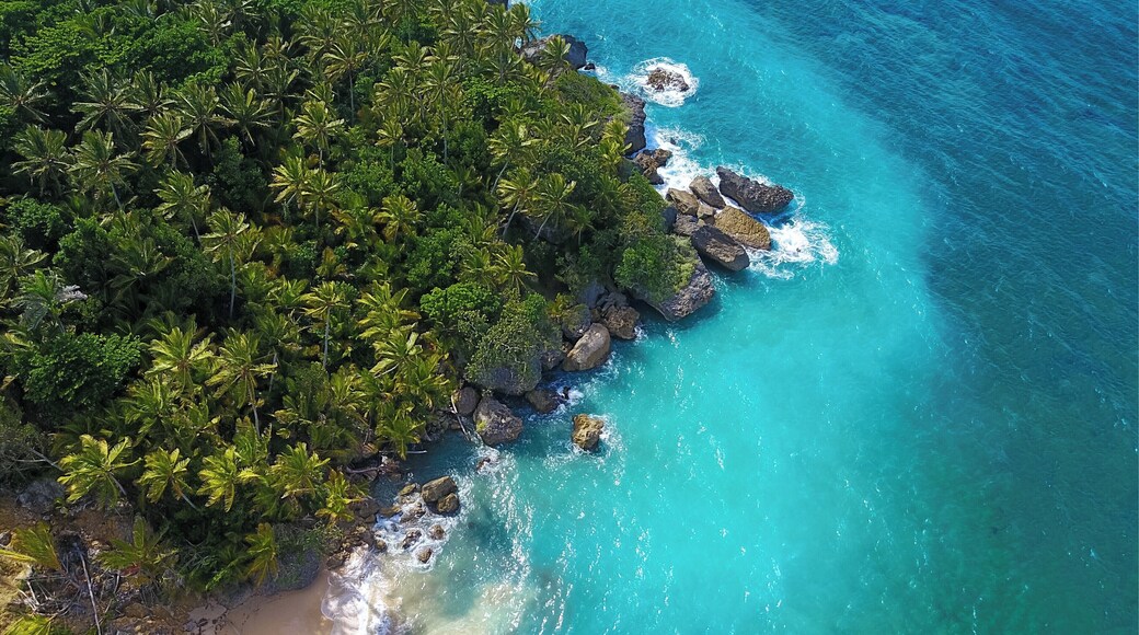 Drone shot of Playa Preciosa
Https://swellsurfcamp.com