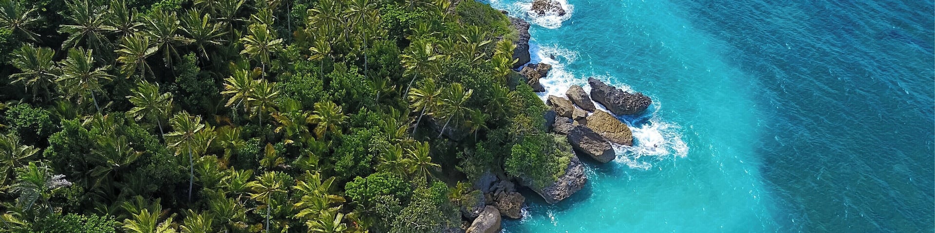 Drone shot of Playa Preciosa
Https://swellsurfcamp.com
