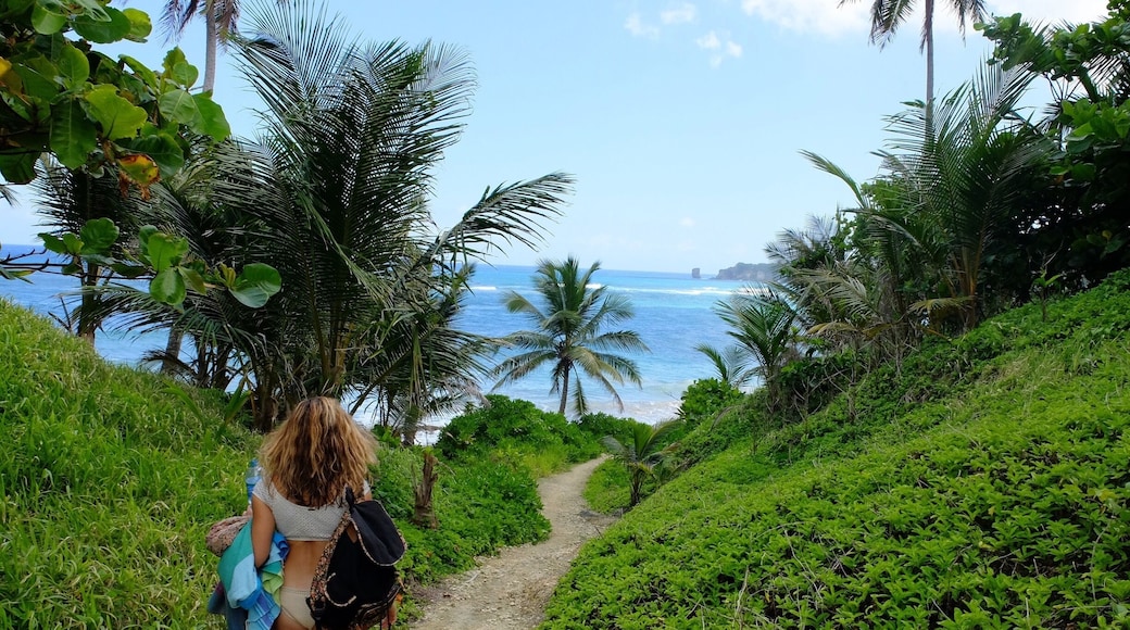 #Takeahike to a secluded beach close to Playa Grande. Paradise found