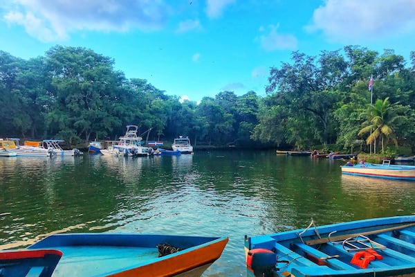 Laguna Gri-Gri, nature-lovers and tropical-bird-watchersâ paradise.
It gets its name from the areaâs abundant presence of the Gri-Gri tree. The dense mangrove forest that surrounds and separates it from Corpses and Los Minos beaches houses the Bird Sanctuary, where thousands of birds live.