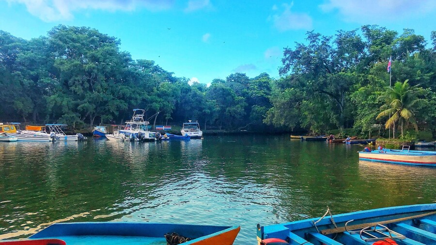 Laguna Gri-Gri, nature-lovers and tropical-bird-watchers’ paradise.
It gets its name from the area’s abundant presence of the Gri-Gri tree. The dense mangrove forest that surrounds and separates it from Corpses and Los Minos beaches houses the Bird Sanctuary, where thousands of birds live.