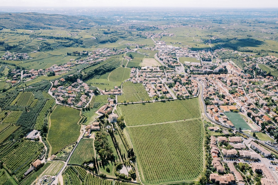 Green vineyards in Negrar Valpolicella. Verona, Italy. Drone