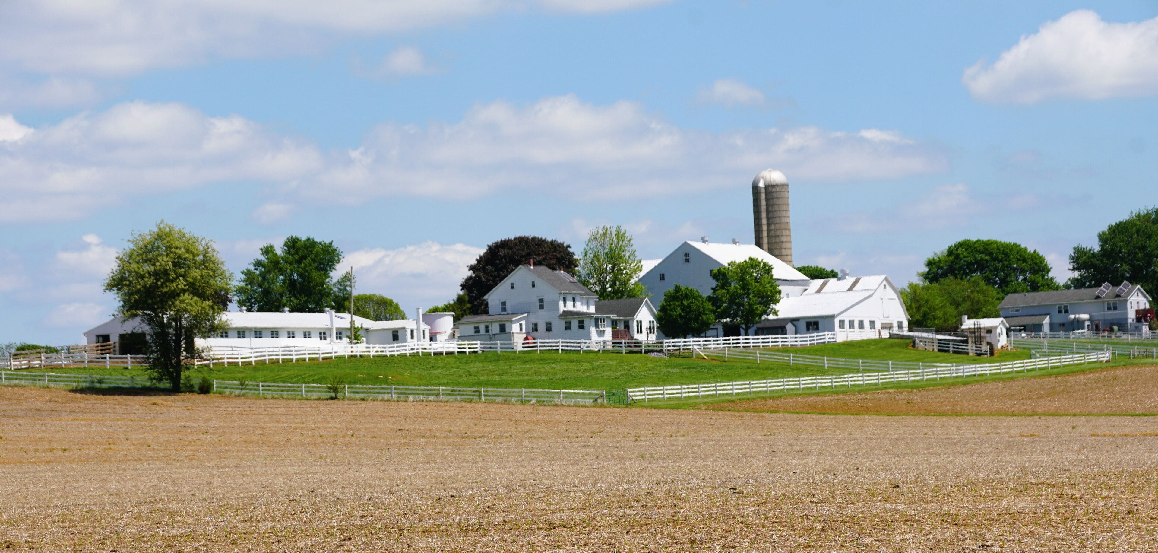 A picturesque rural landscape showcasing a cluster of white farm buildings nestled amidst rolling fields near Lancaster County, Pennsylvania, U.S.A.