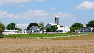 A picturesque rural landscape showcasing a cluster of white farm buildings nestled amidst rolling fields near Lancaster County, Pennsylvania, U.S.A.