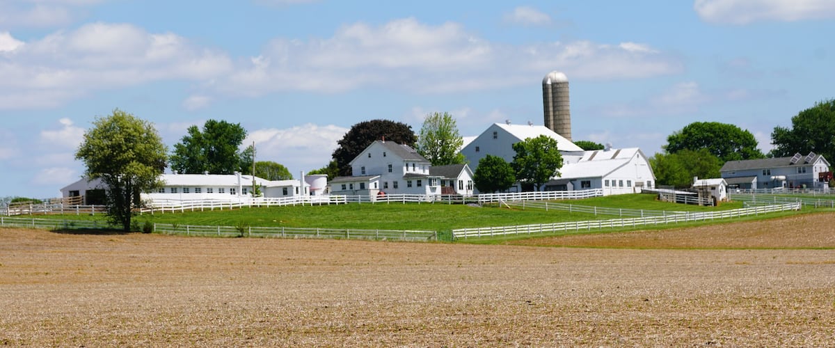 A farm with white buildings, a silo, and green fields.