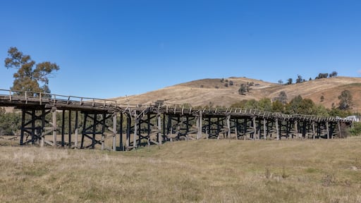 Prince Alfred Bridge, Gundagai, NSW, Australia - a unique example of an early timber span bridge
