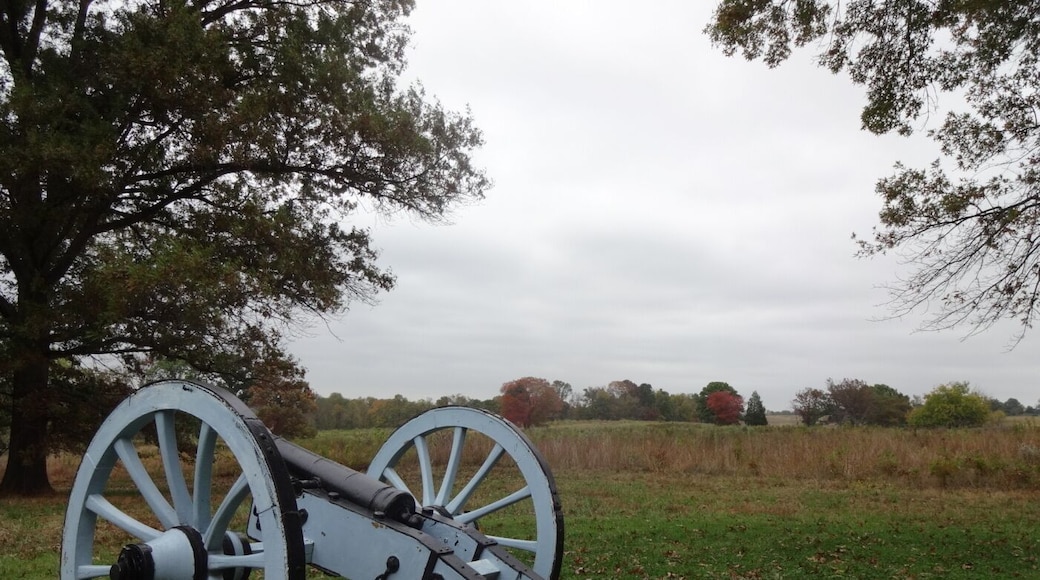 Most of the cannon brought to Valley Forge were massed in this area called the Artillery Park. Here, under the command of Brigadier General Henry Knox, artillery was stored and repaired and gun crews were trained and drilled. In the event of an attack, the cannons could be dispatched from this central location to wherever they were needed. However, most camp roads were deep in mud and horses were starving. It may be fortunate that an attack never came.