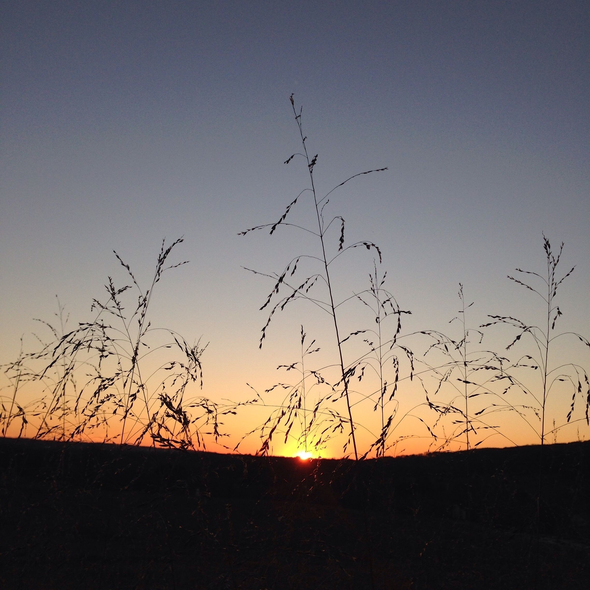 A beautiful place to stroll through around sunset. 