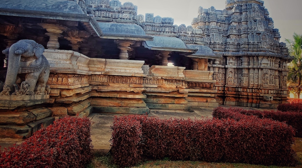 When in Chikmagalur, do not miss to visit Belavadi temple. Not-at-all popular but extremely beautiful.
#incredibleIndia
