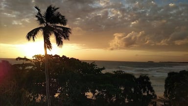 Un atardecer sobre el océano con una palmera silueteada contra el cielo.