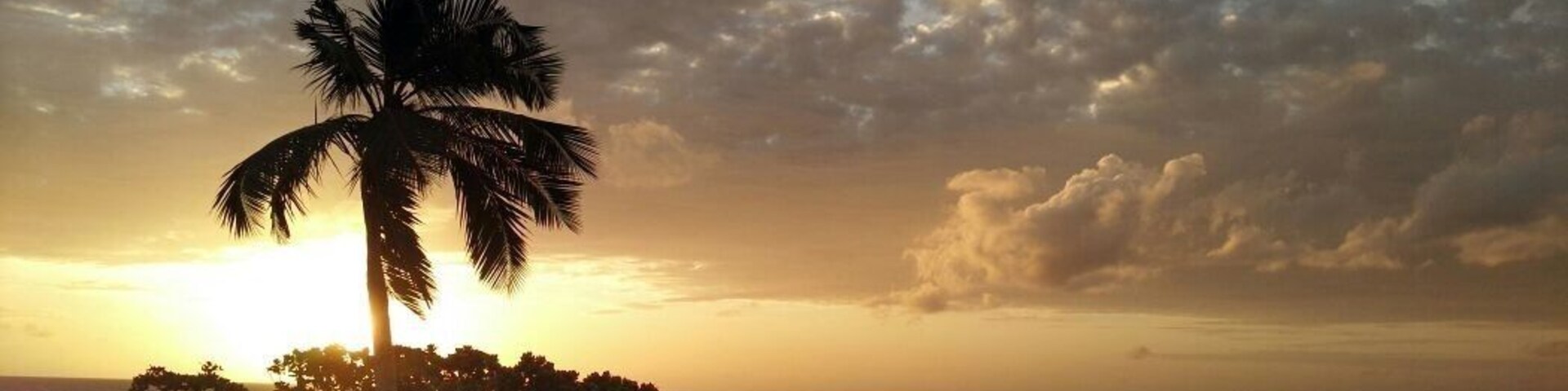 Un atardecer sobre el océano con una palmera silueteada contra el cielo.