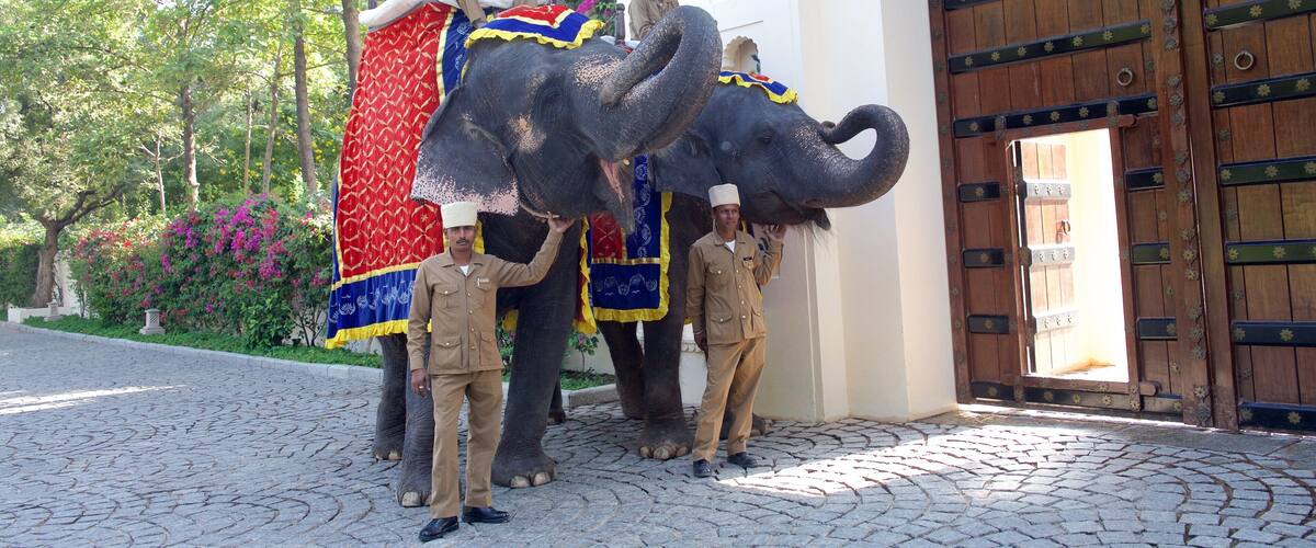 Sawai Madhopur showing a park and land animals as well as a small group of people