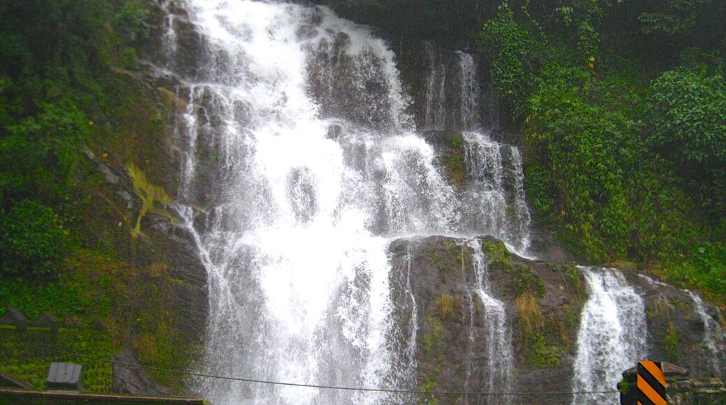 Thekkadi que incluye una cascada