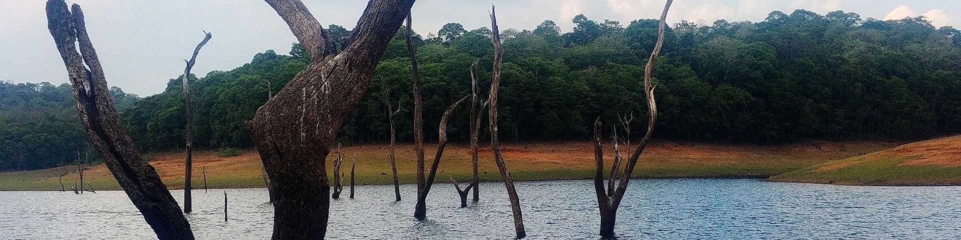 periar wildlife sanctuary.. rest place for wild animals..