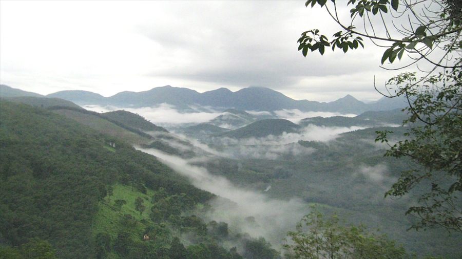Thekkady which includes mist or fog