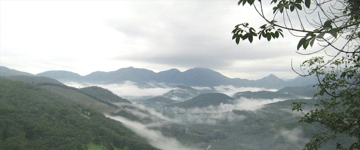 A valley with mountains in the background and mist covering the lower elevations.