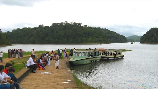 Thekkady som inkluderar en sjö eller ett vattenhål såväl som en stor grupp av människor