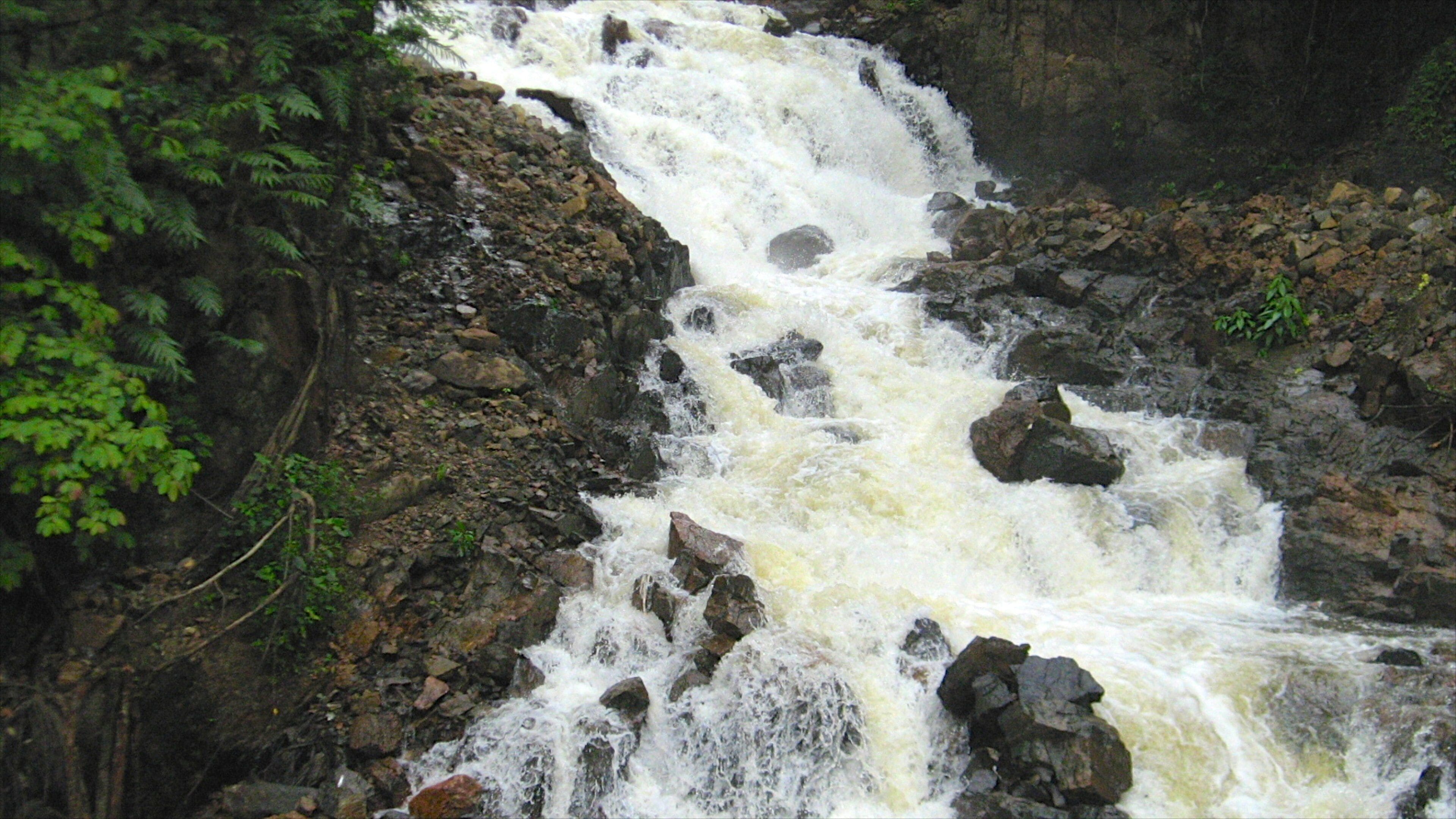 Thekkadi ofreciendo una catarata
