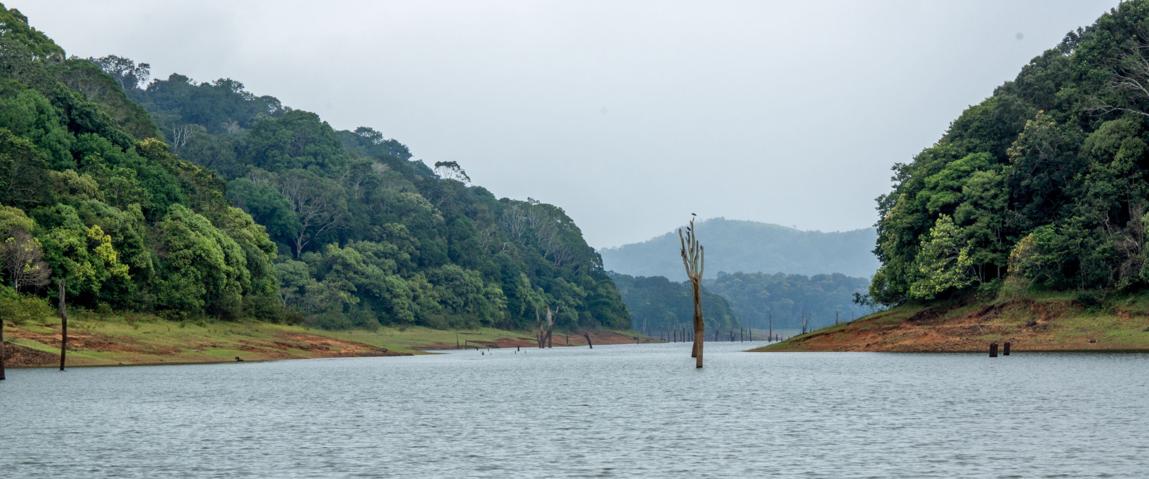 Un lago tranquilo rodeado de un bosque denso y colinas.