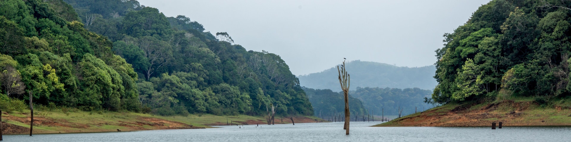 Un lago tranquilo rodeado de un bosque denso y colinas.